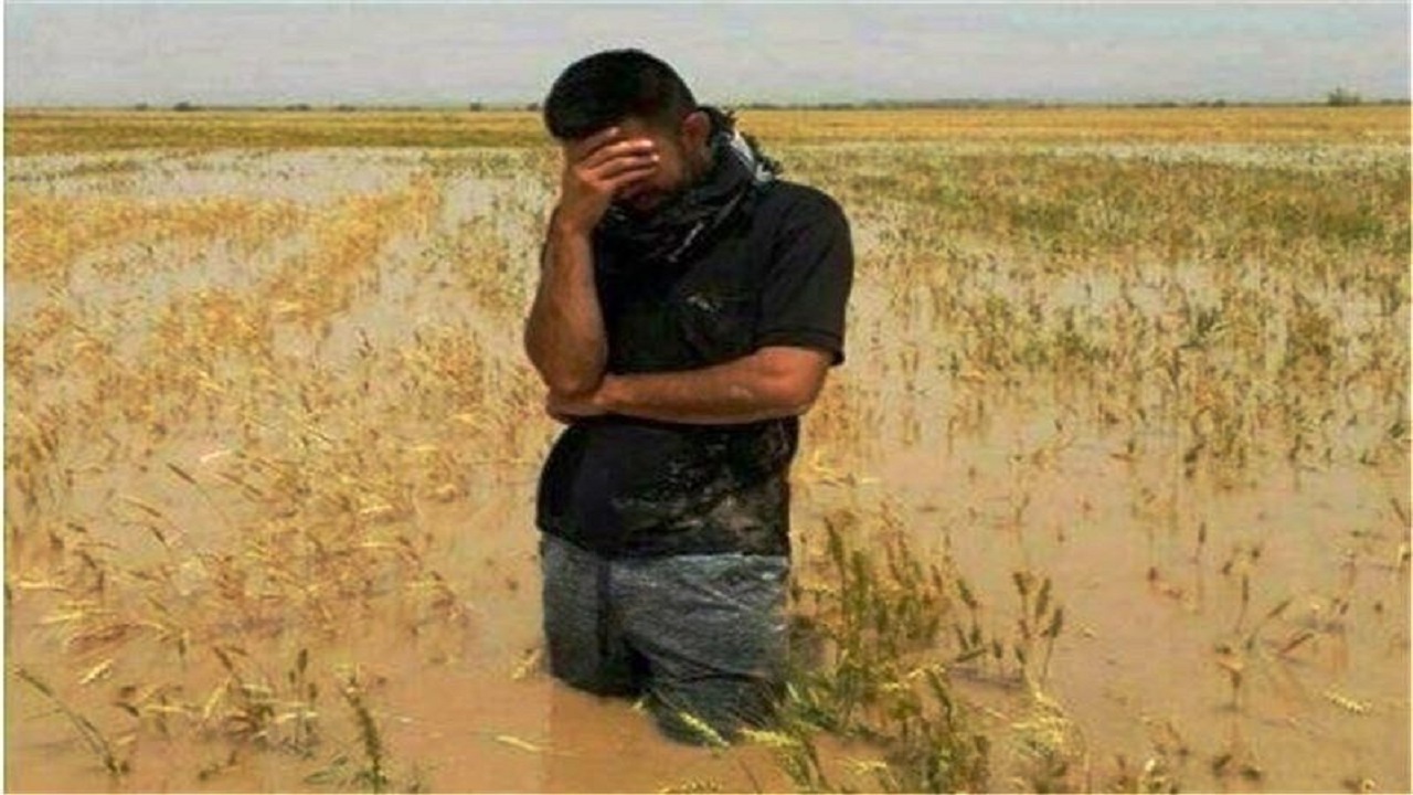پرداخت خسارت ۸۳۲ میلیارد ریالی به کشاورزان گلستانی
