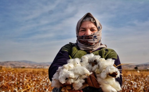 خراسان شمالی سرزمین طلای سفید