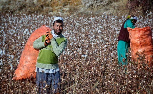 خراسان شمالی سرزمین طلای سفید