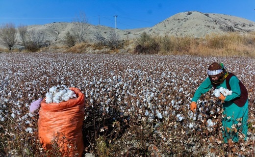 خراسان شمالی سرزمین طلای سفید