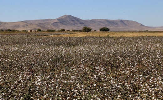 خراسان شمالی سرزمین طلای سفید