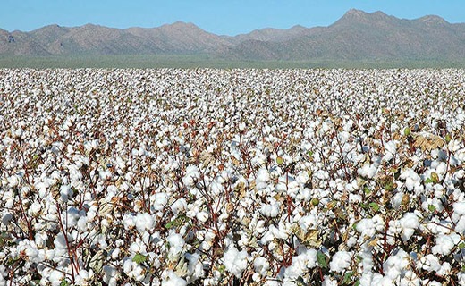 خراسان شمالی سرزمین طلای سفید