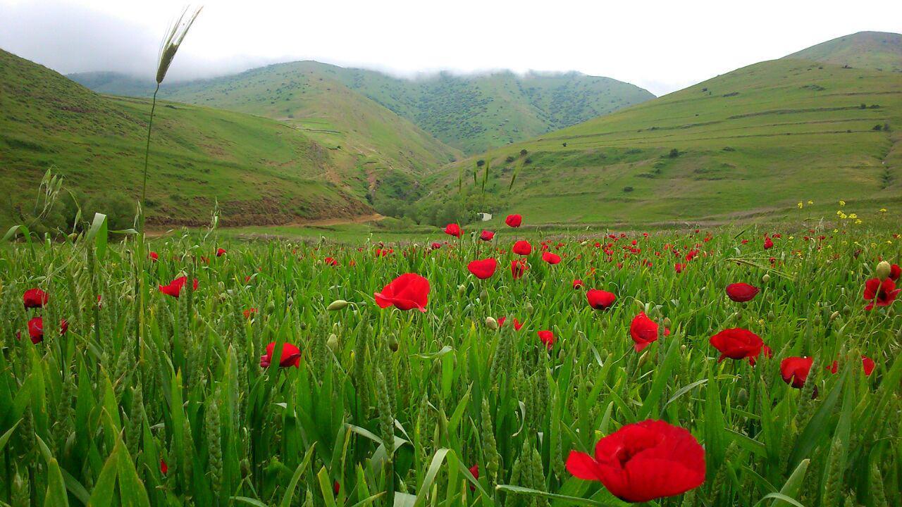 روستای آلیله؛ پیشنهادی برای گشت و گذار پاییزی + تصاویر