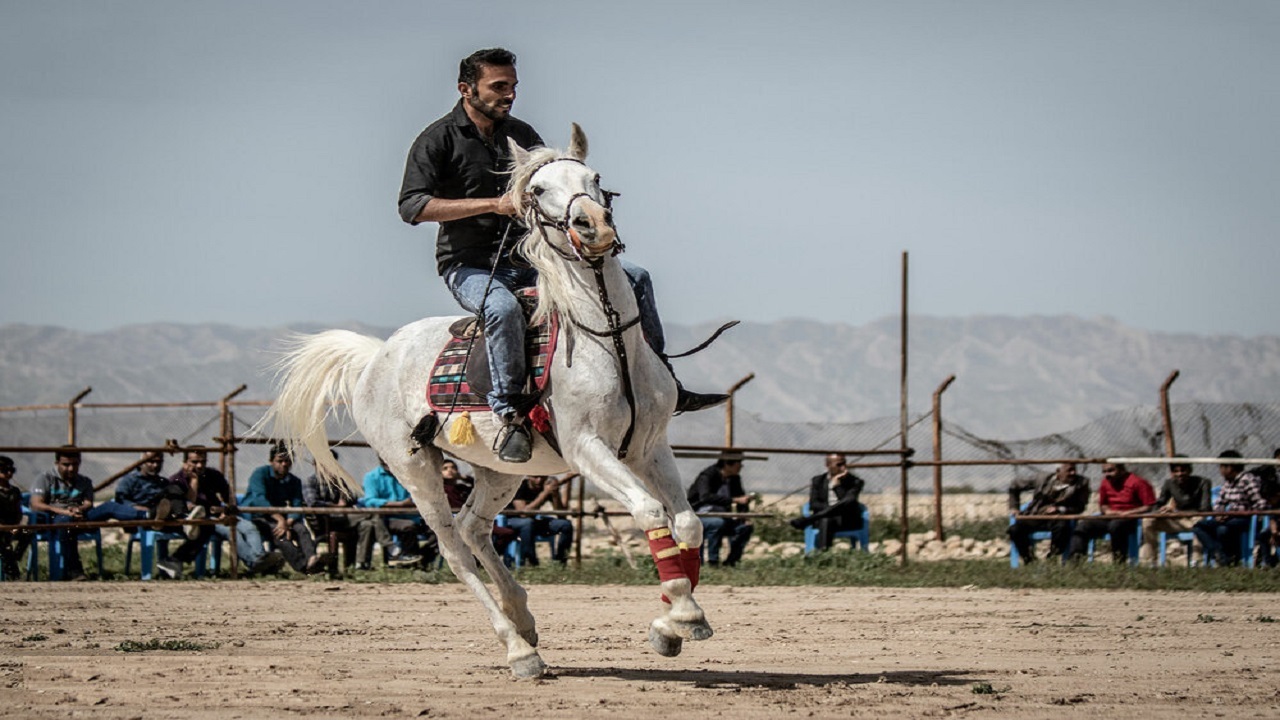 جشنواره سوارکاری به میزبانی مشگین شهر برگزار می‌شود