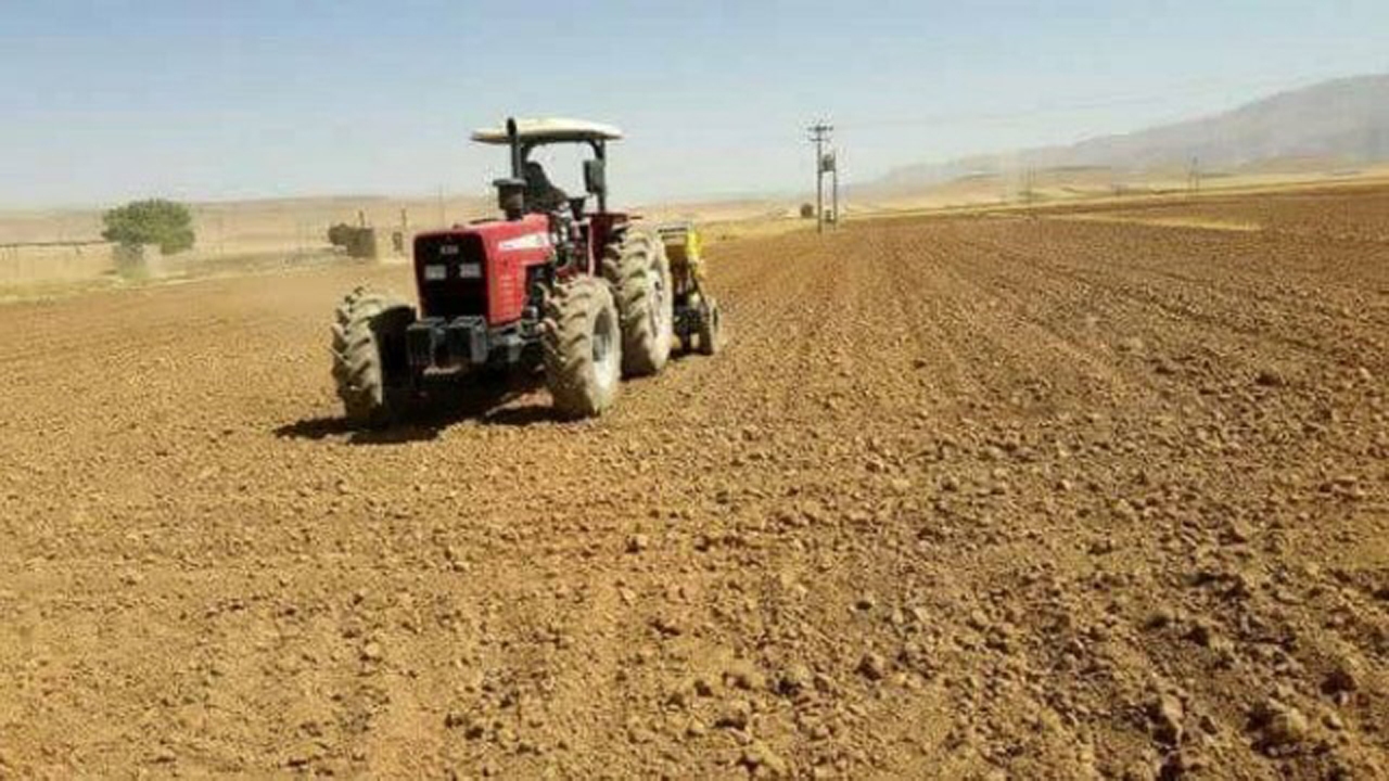 ۶۰ درصد اراضی دیم خراسان شمالی زیر کشت غلات نرفت