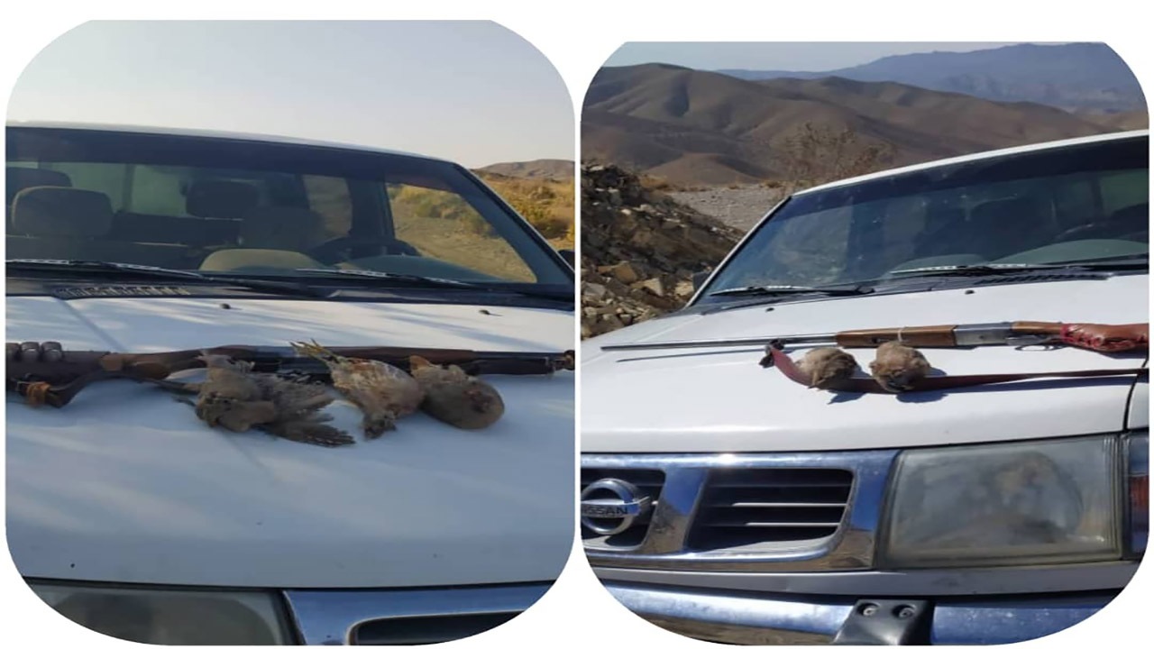 دستگیری شکارچی