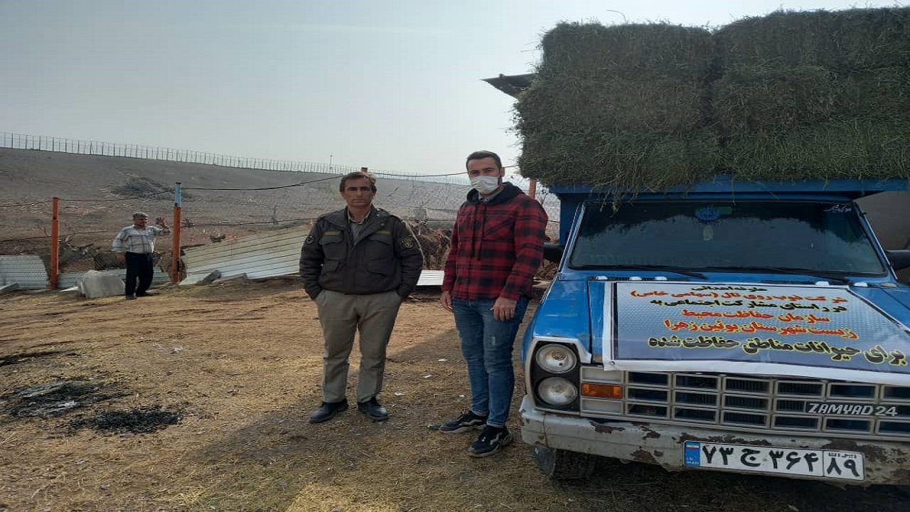 نذر طبیعت در بوئین زهرا