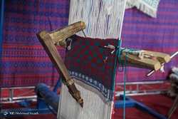 اولین کارخانه طلای سفید در ایران