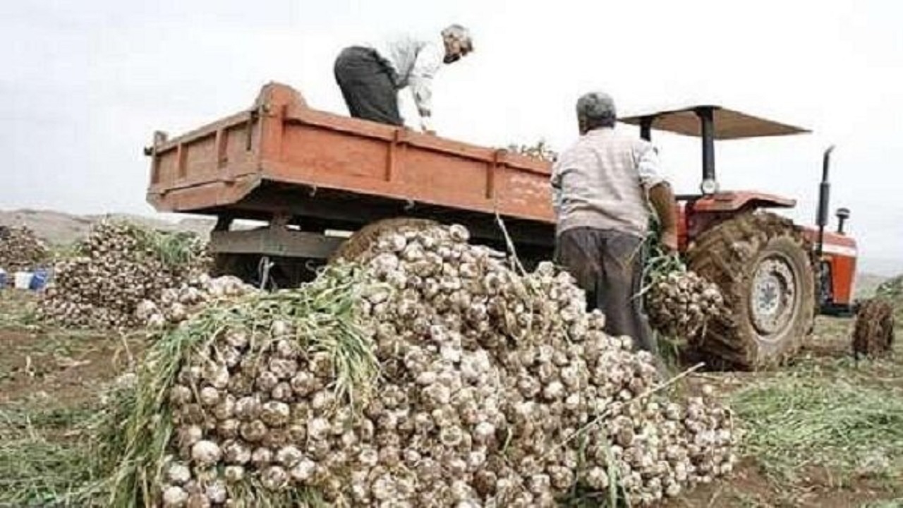 سیر همدان جهانی می شود
