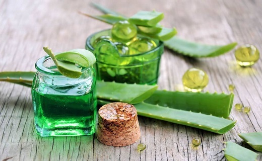 خواص گیاه آلوئه ورا خواص گیاه آلوئه ورا