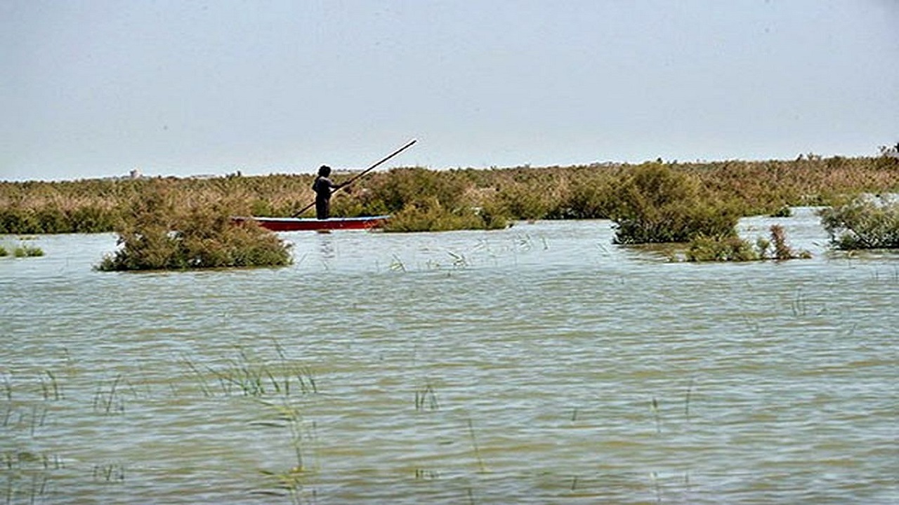 چشم انداز ۵ساله طرح سیستان برای تختک نشینان هامون