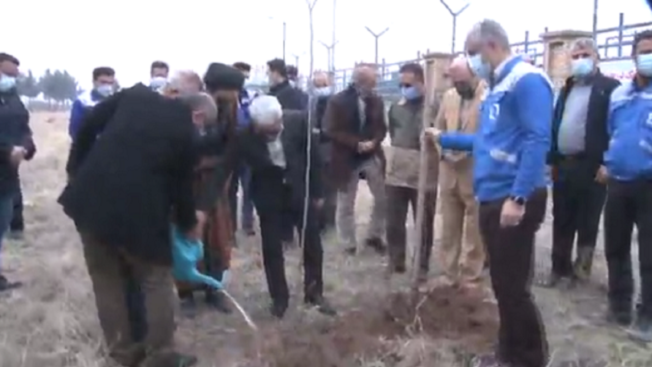 کاشت هزاران نهال در شهرستان البرز