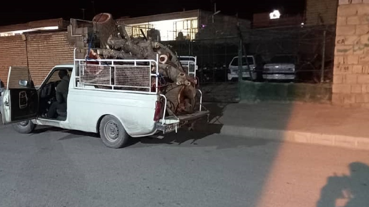 دستبند قانون بر دستان متخلف قطع درختان جنگلی