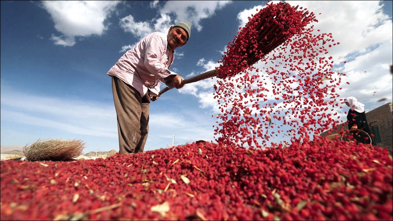 دیدار استاندار خراسان جنوبی با رئیس سازمان تعاون روستایی کشور