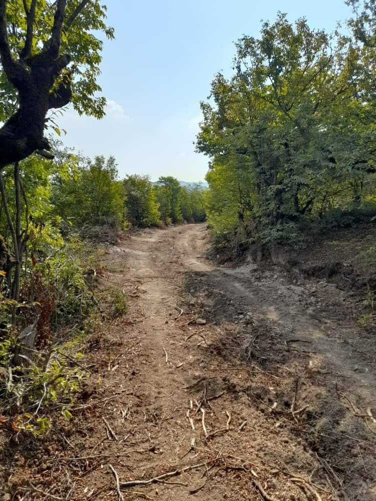نابودی منابع طبیعی با تخریب جنگل&zwnj;های روستای فرنگ + تصاویر