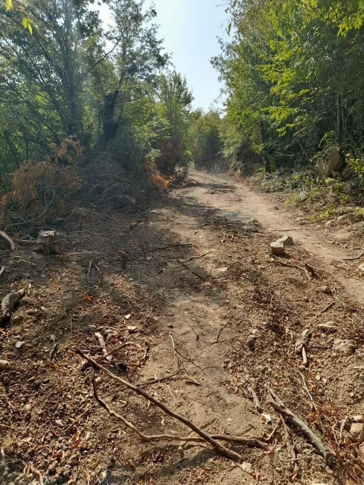 نابودی منابع طبیعی با تخریب جنگل&zwnj;های روستای فرنگ + تصاویر