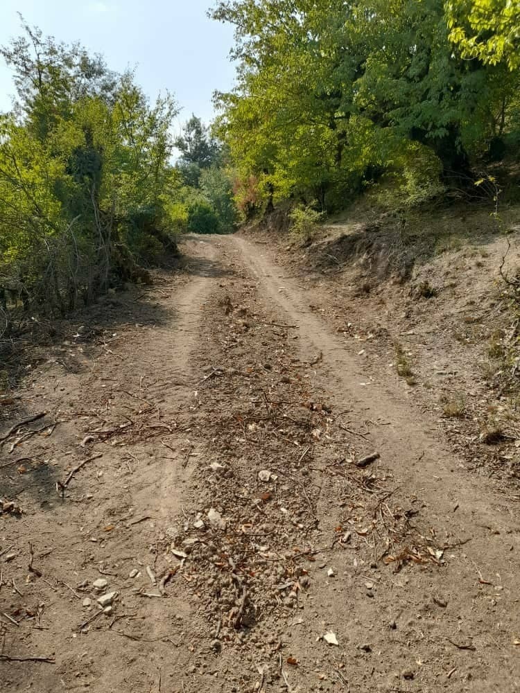 نابودی منابع طبیعی با تخریب جنگل&zwnj;های روستای فرنگ + تصاویر