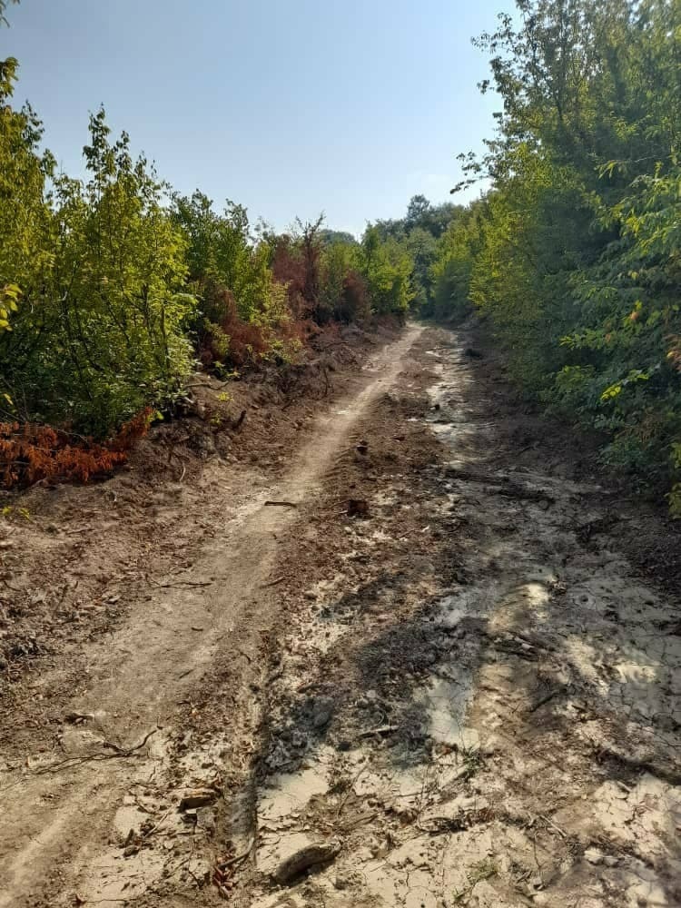 نابودی منابع طبیعی با تخریب جنگل&zwnj;های روستای فرنگ + تصاویر