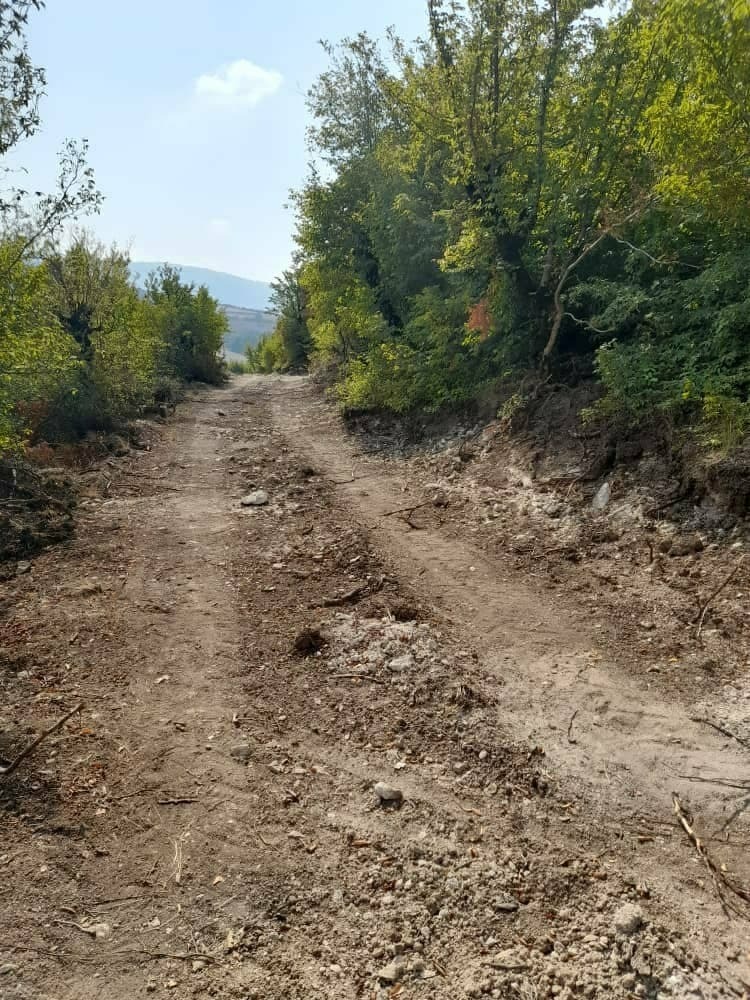 نابودی منابع طبیعی با تخریب جنگل&zwnj;های روستای فرنگ + تصاویر
