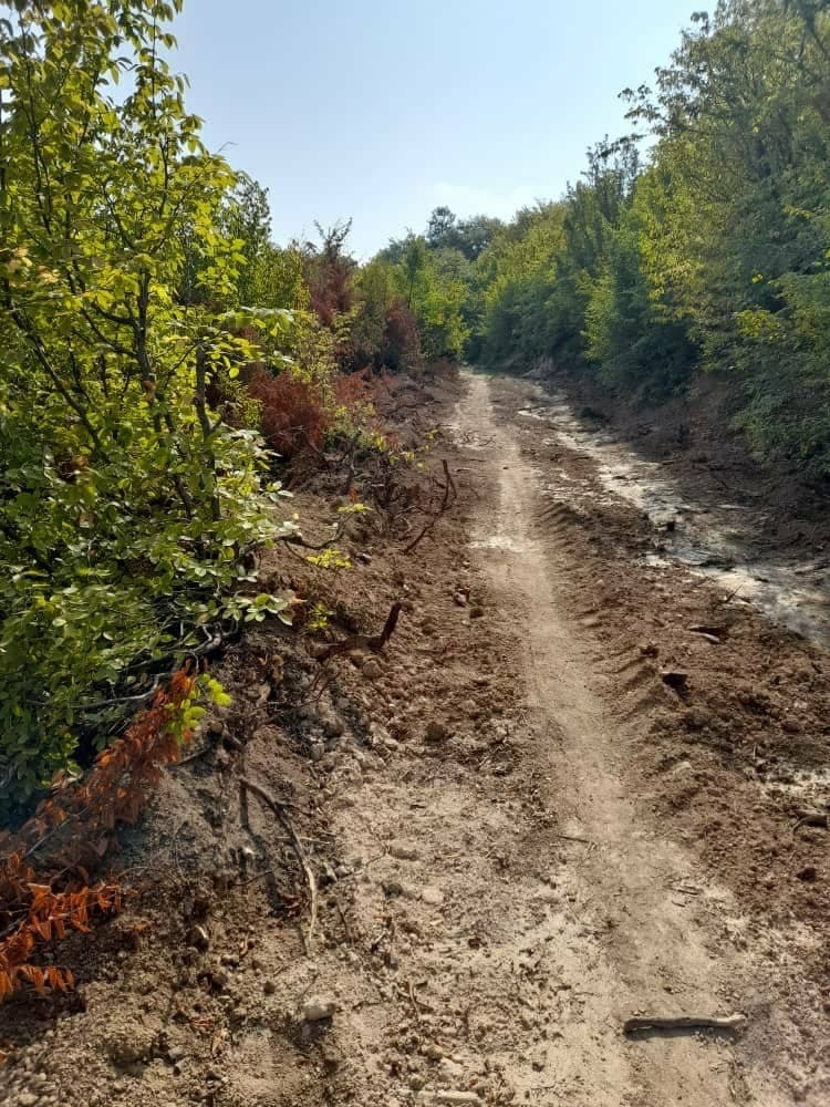نابودی منابع طبیعی با تخریب جنگل&zwnj;های روستای فرنگ + تصاویر