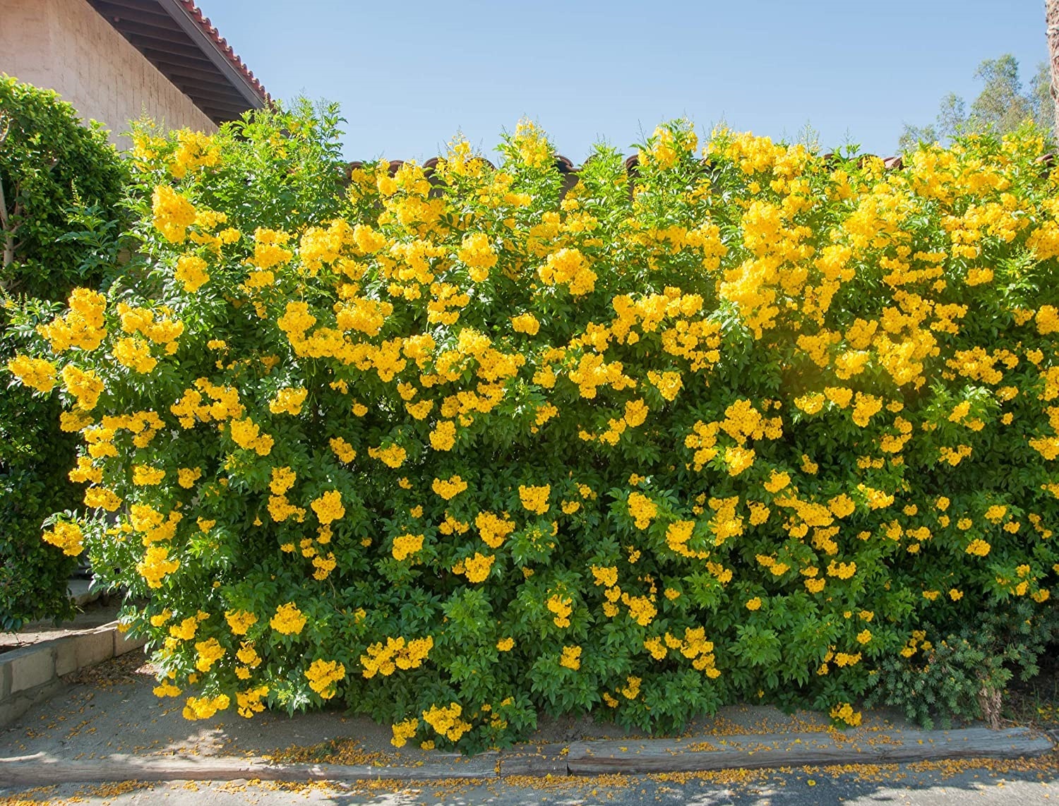 ابلاغ مراتب ثبت ۶ میراث ناملموس به استاندار همدان