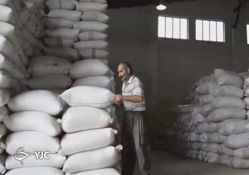 قیمت هر کیلو برنج در شمال کمی بیش از یارانه