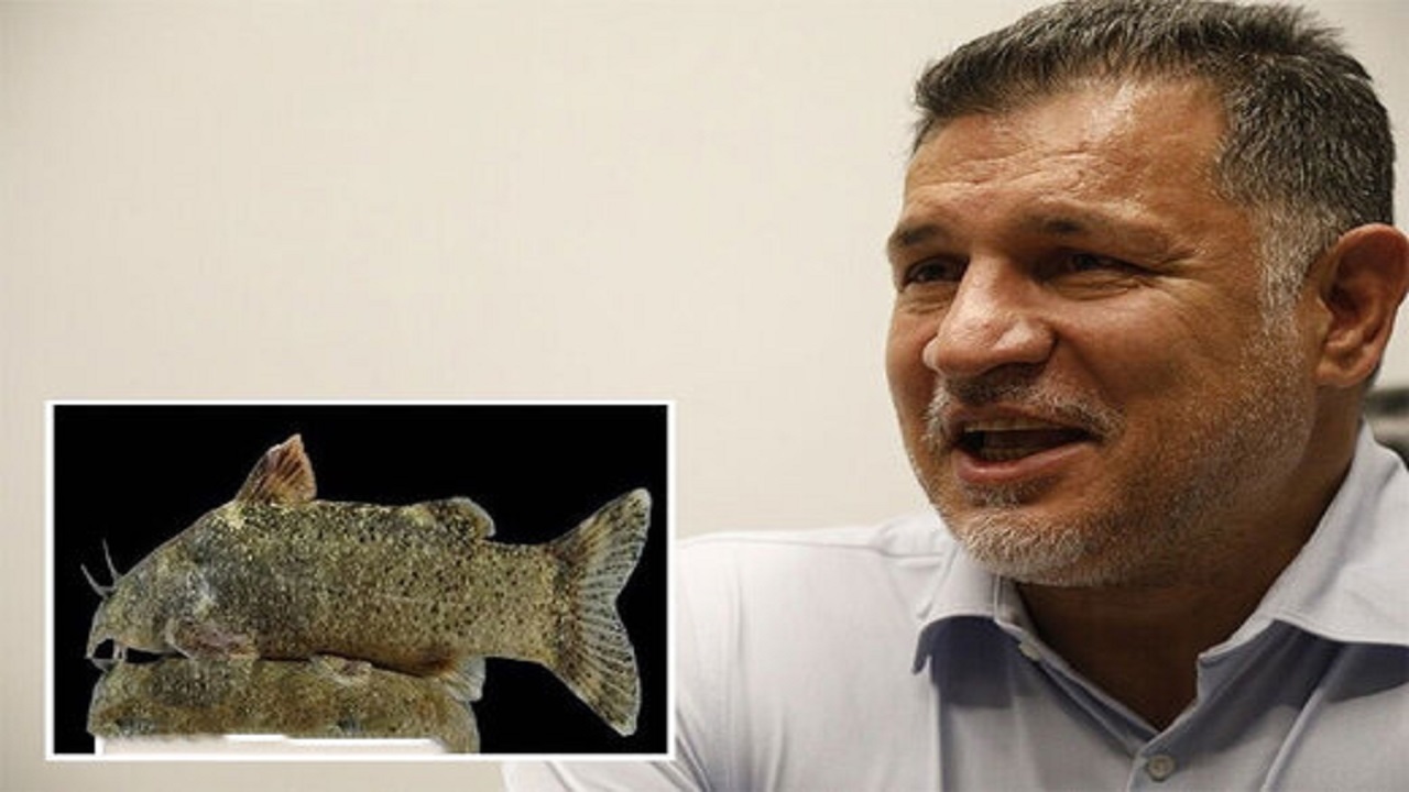 ماجرای جنجالی نام افراد مشهور روی گونه‌های جانوری