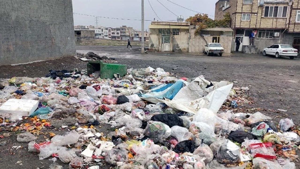 گشت و گذار برفی کوهنوردان در جنگل کوهستانی کجور/