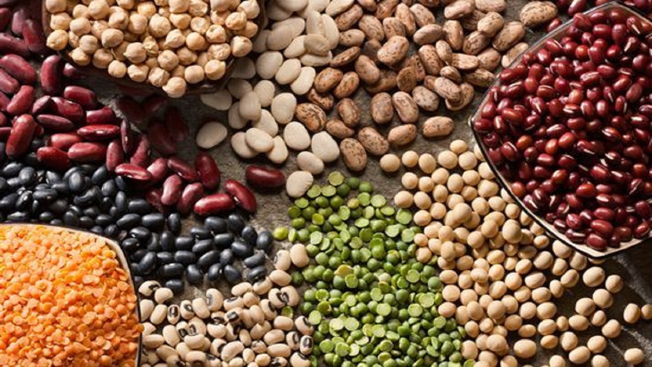 انواع لوبیا در بازار چند؟