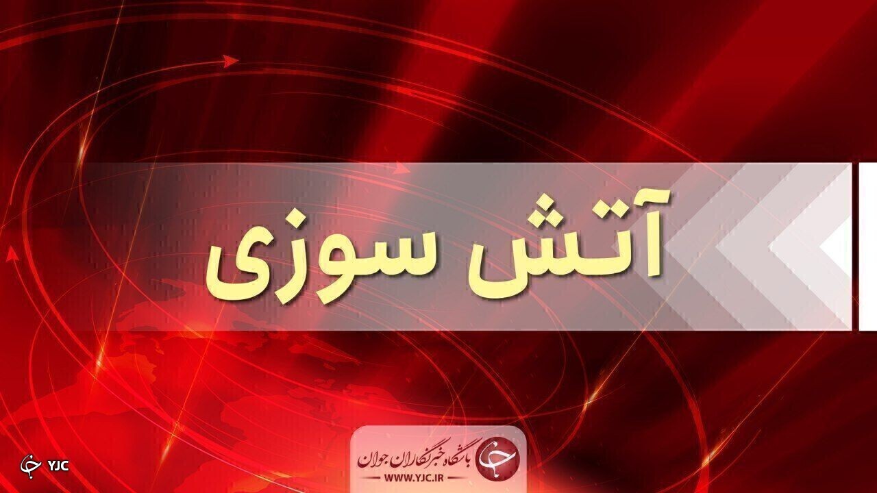 آتش گرفتن درخت کاج در مهاباد مهار شد