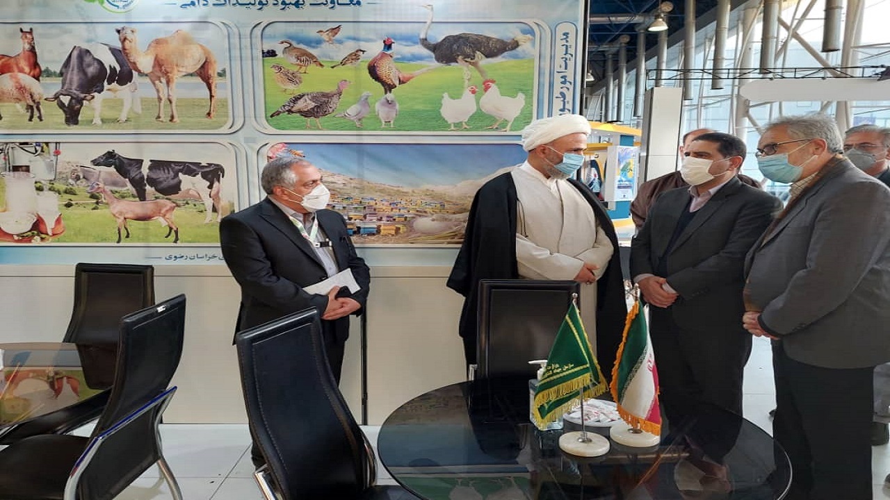 حذف ارز ۴۲۰۰ تومانی باید پلکانی انجام شود
