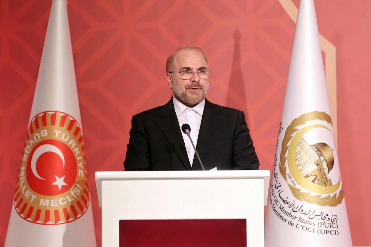 وحدت و انسجام درمانِ دردهایِ امت اسلامی است/ تشکیل دولت فراگیر و مشارکتی شرط ثبات در افغانستان
