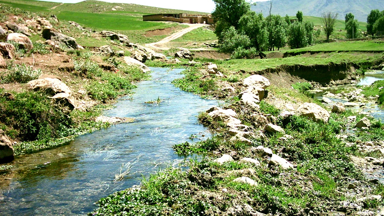 بلند شدن صدایی شبیه به صدای آب اما با هدف نابودی حیات + فیلم