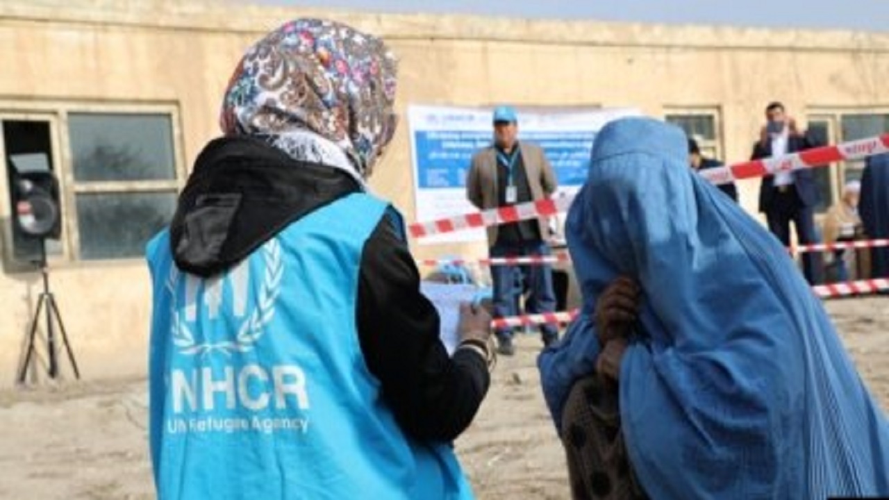 کمک نقدی سازمان ملل به آوارگان جنگ در قندهار و هلمند