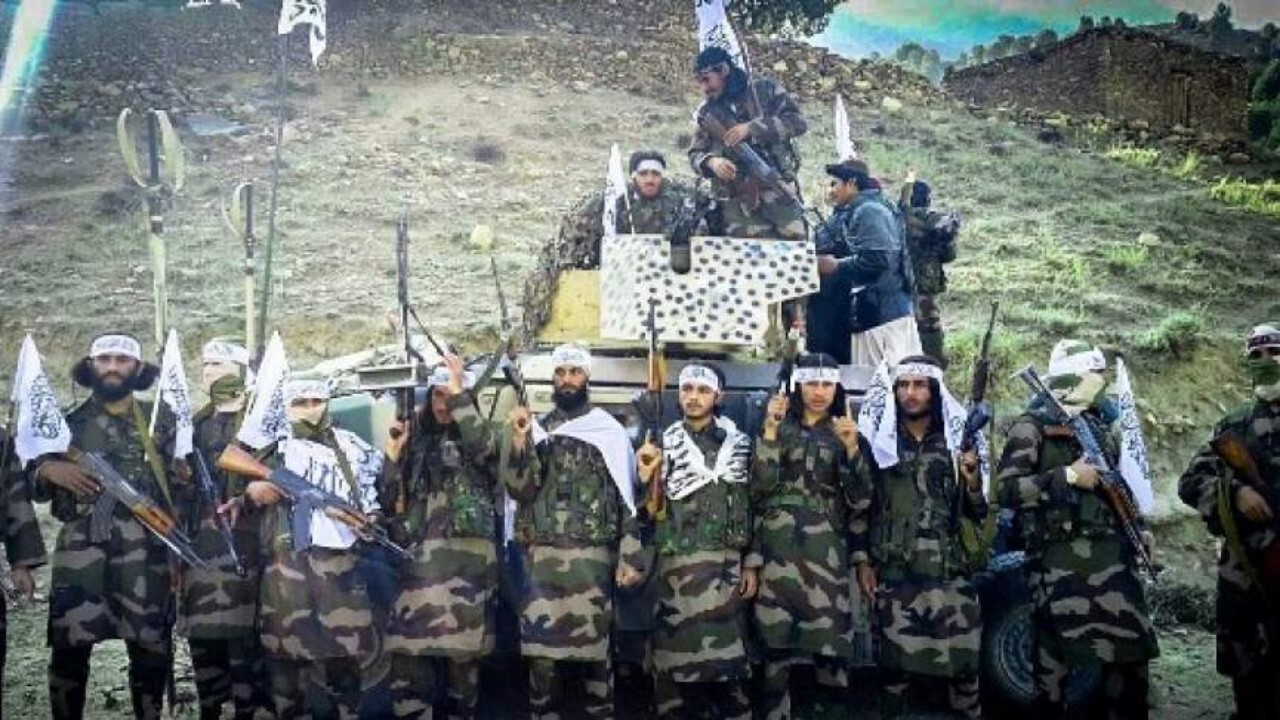 طالبان برای حفظ جنگل ها قطعه نظامی تشکیل دادند