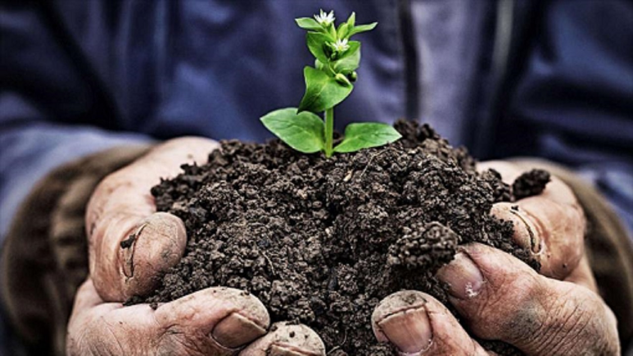 صادرات خاک‌های معدنی کشور منعی ندارد