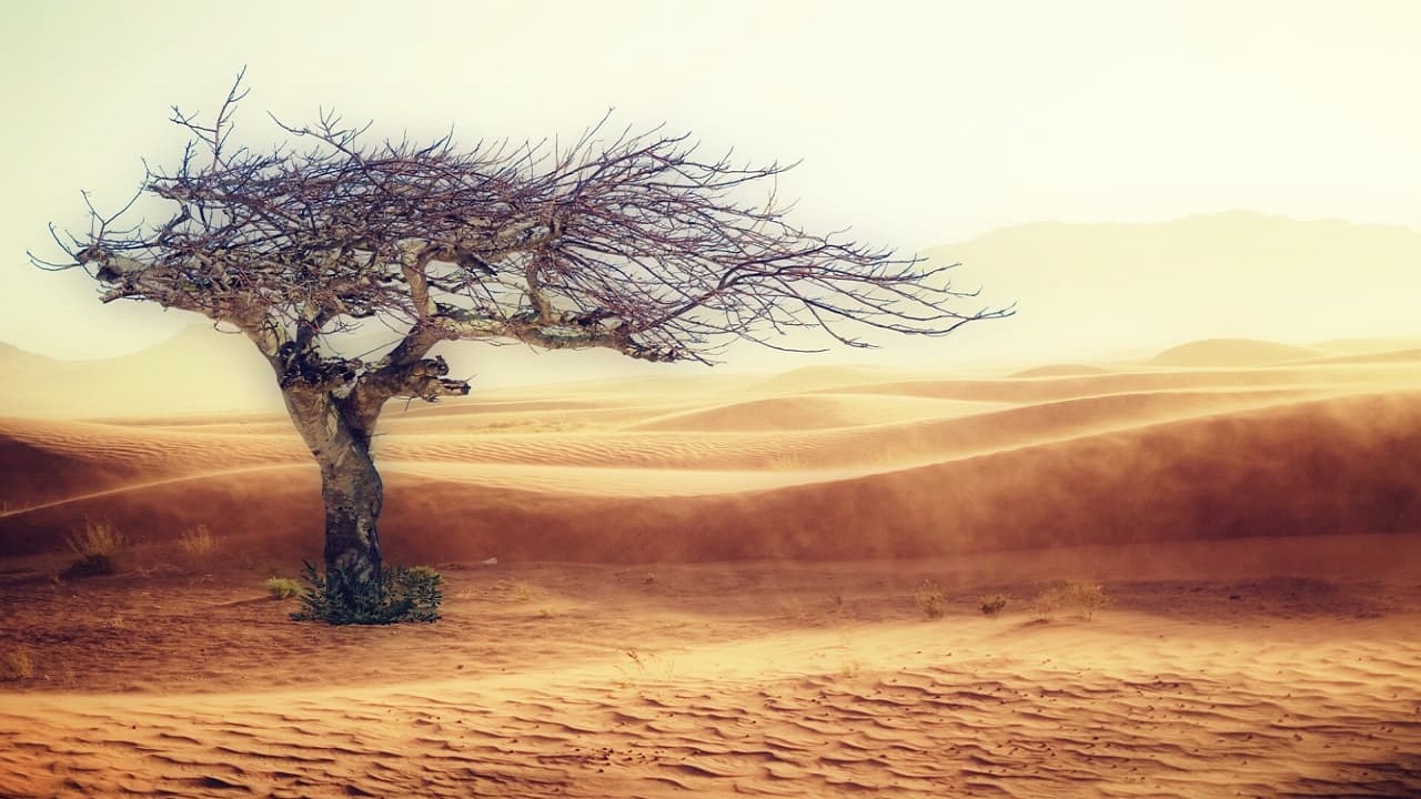 تاثیر تغییرات آب و هوایی بر زمین را با این اختراع تجسم کنید