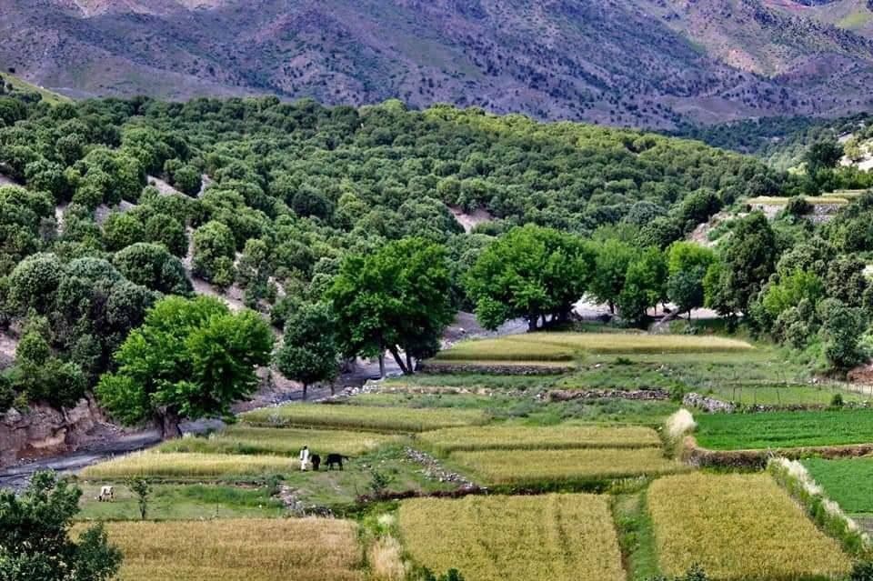 تصاویری از طبیعت زیبای ولایت خوست