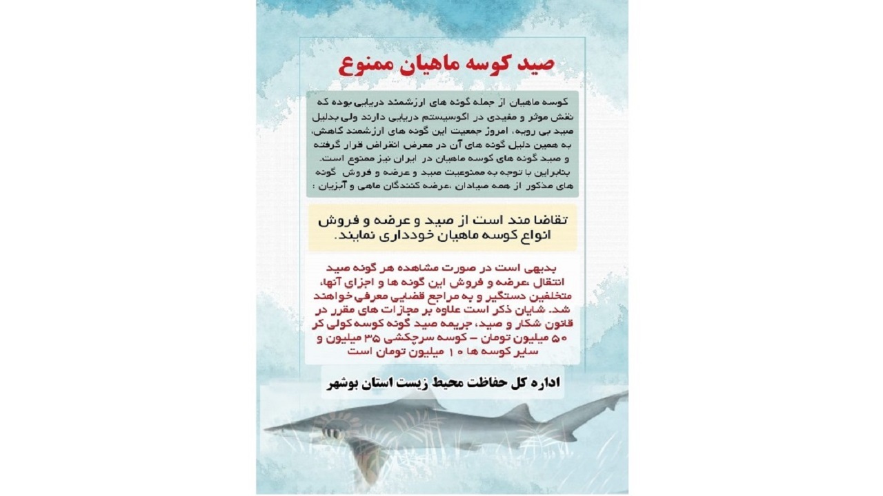 با صیادان و عرضه‌کنندگان کوسه‌ماهیان برخورد می‌شود