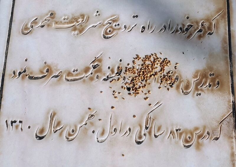ثواب دانه پاشیدن بر مزار درگذشتگان برای پرندگان