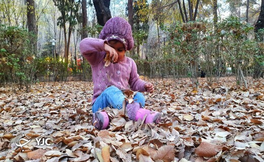 پاییز هزار رنگ در بوستان&zwnj;های استان یزد+ تصاویر