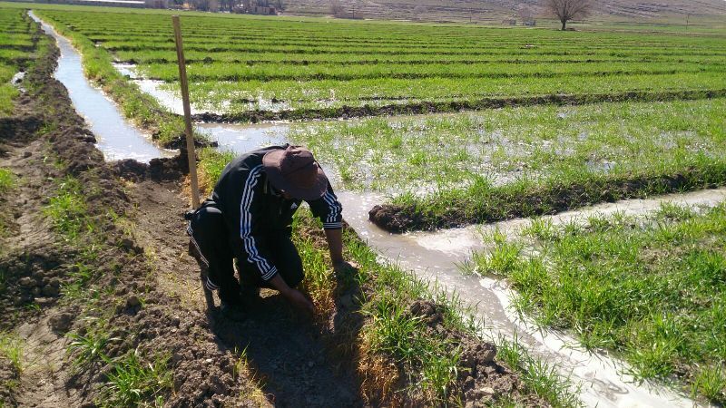 آبیاری سنتی