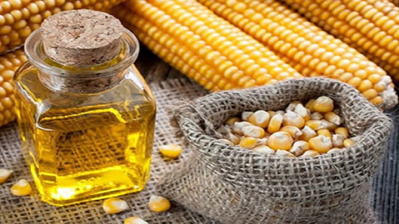 قیمت روغن ذرت در بازار چقدر است؟