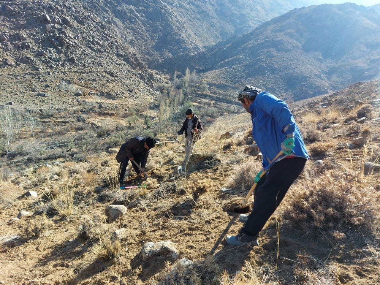 از