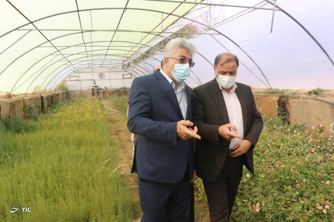 لزوم بازسازی مرکز گل و گیاه در شیراز