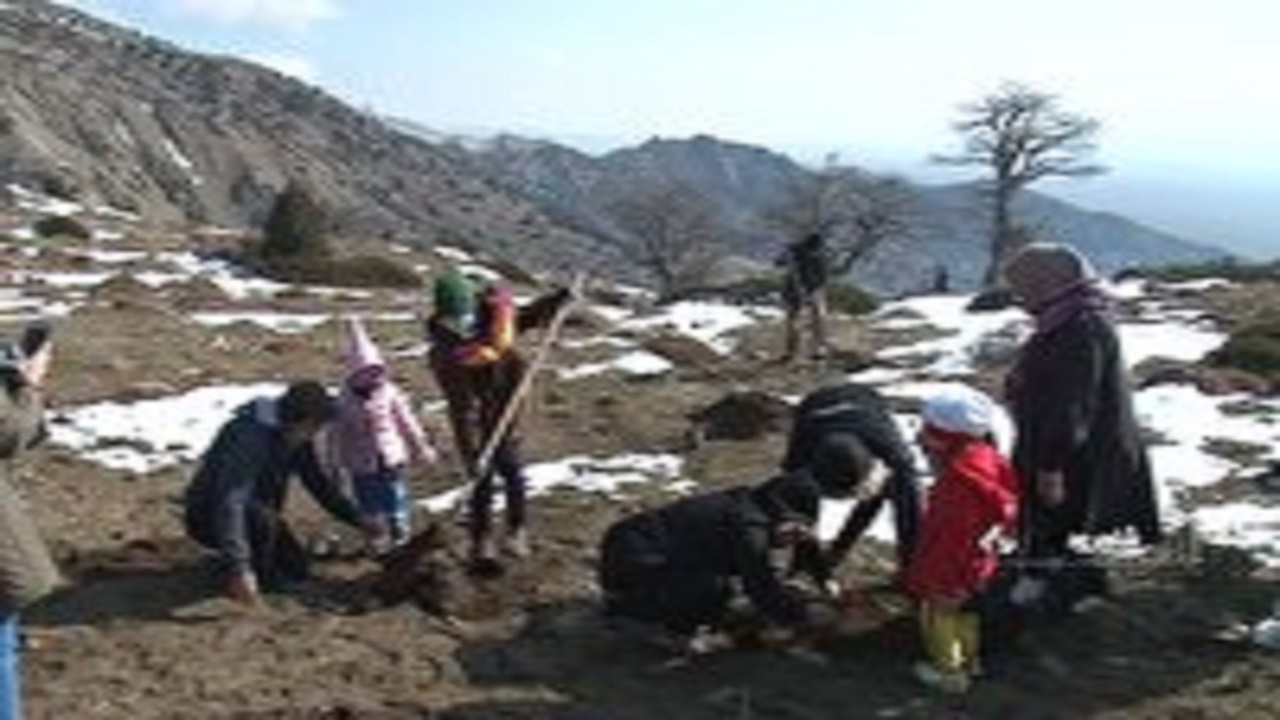 پویش مردمی کاشت نهال و بذر در شاهرود