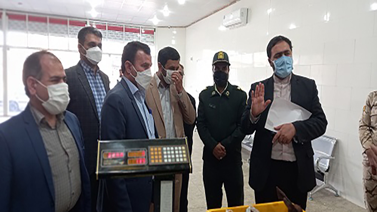 برخورد دستگاه قضا با کشتار غیرمجاز دام‌های مولد و آبستن