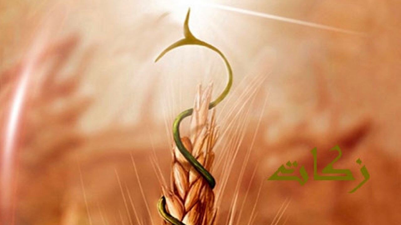 نیکوکاران نیری ۸۶۶ میلیون تومان زکات دادند
