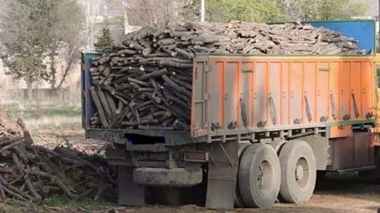 کشف ۱۸۰تُن چوب و زغال بلوط در اصفهان