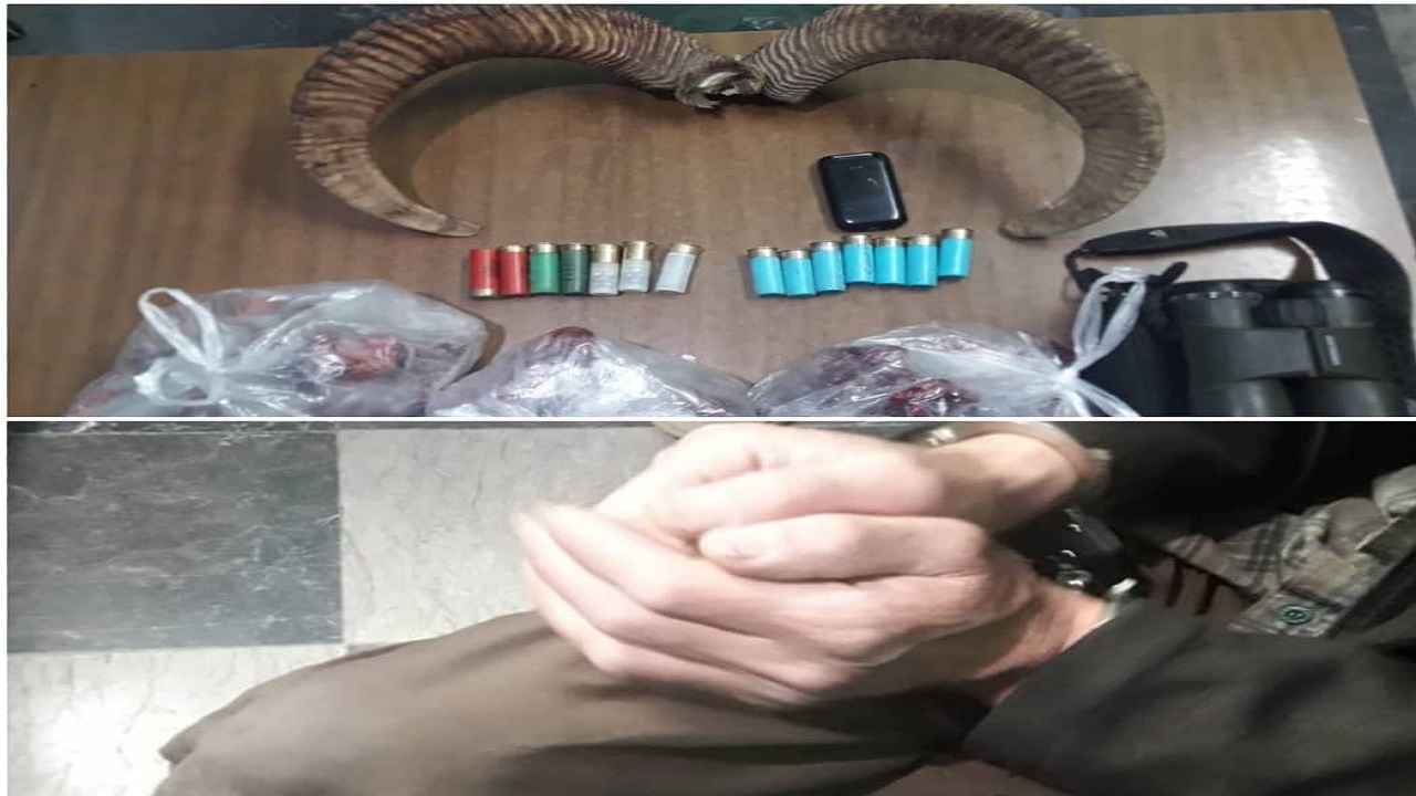 شکارچی متخلف در کاشان دستگیر شد